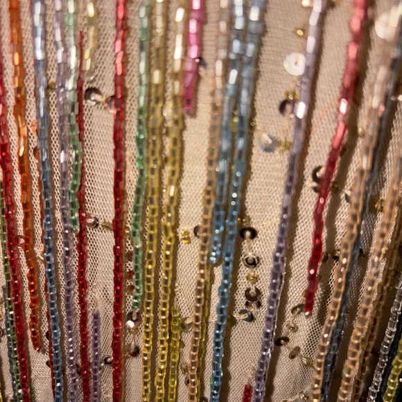 Sequin Fringe Dress with Multicolor Stripes by Nasty Gal size 6/8 - Picture 2 of 3